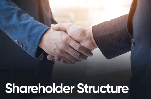 Shareholder Structure