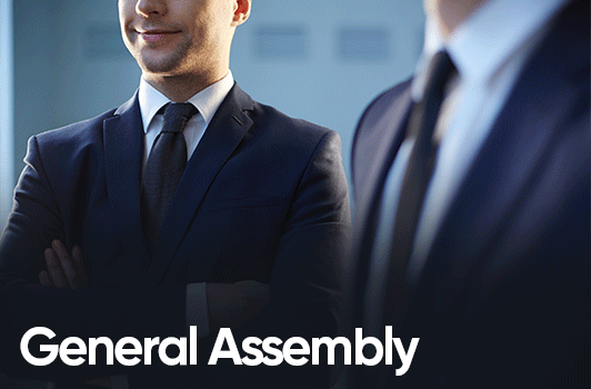 General Assembly